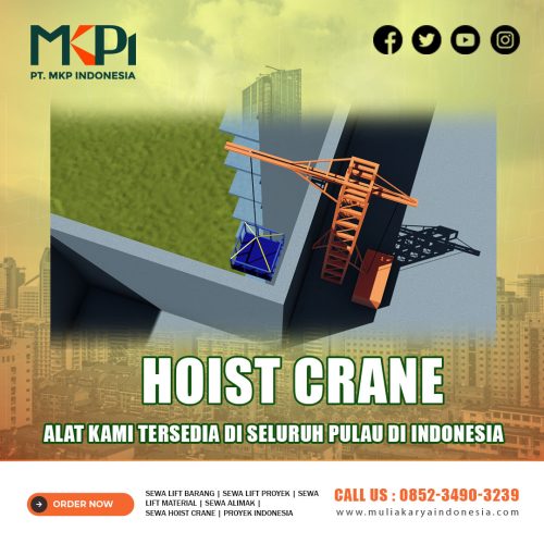 Hoist Crane